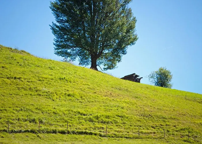 Hotel Garni Zerzer Serfaus
